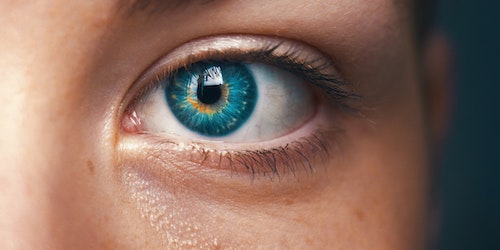 A woman's eye, up close